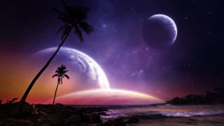 Planet palm tree beach night - a moon in the sky free wallpaper