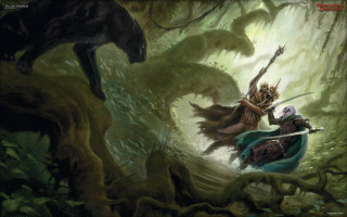 Woman sword forest wolf man - a sword in a forest free wallpaper