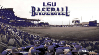 Lsu baseball team huddle stadium - a stadium full free wallpaper