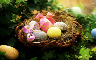 Basket filled eggs green field 5 - egg free wallpaper