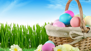 Basket colorful eggs grass flowers - top of a grass free wallpaper