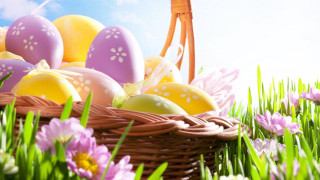 Basket eggs flower field folk - mesh wire free wallpaper