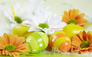 Eggs flowers tabletop feathers decoration - a group of eggs free wallpaper