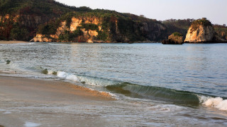 Beach wave mountain trees shore - beach free wallpaper