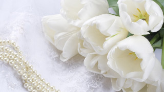White flower beaded necklace lace - exquisite detail free wallpaper