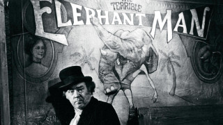 Man top hat suit elephant - a man in a top hat free wallpaper