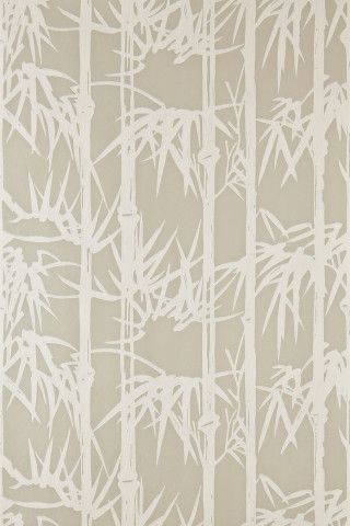 White beige wallpaper bamboo trees - a white vase free wallpaper