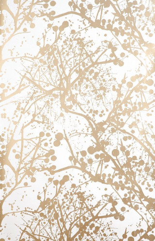 Tree leaves branches white sky - a white sky in the background free wallpaper