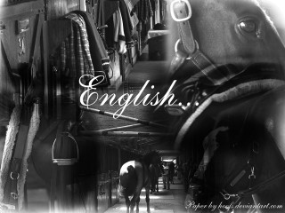 Horse saddle black white photo - ancell stronach free wallpaper