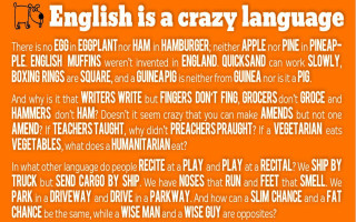 English crazy language orange background - an orange background free wallpaper