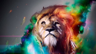 Lion colorful mane rainbow swirl 3 - a lion free wallpaper for desktop