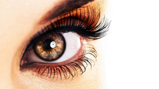 Woman eye long lashes brown 2 - a womans eye free wallpaper