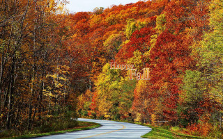 Fall road trees colors happy - american barbizon school free wallpaper for desktop