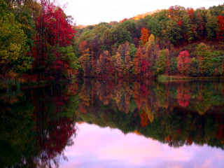Lake trees fall colors hill - fall free wallpaper