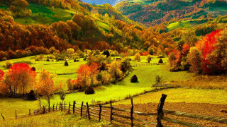 Mountain valley autumn fence trees 2 - scenic free wallpaper