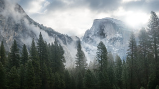 Mountain forest clouds sky trees - tree below free wallpaper