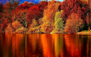 Autumn lake trees orange red - bob ross free wallpaper