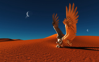 Bird wings desert crescent half - a half moon in the sky free wallpaper