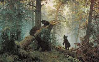 Bears forest fallen tree trunk - albert bierstadt free wallpaper