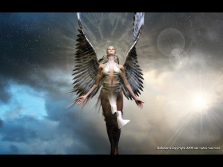 Woman wings sky star background - a star in the background free wallpaper for desktop