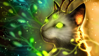 Cat glowing eyes green background - luminous free wallpaper for desktop