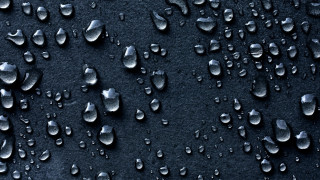Black water drops macro rain - water drop free wallpaper