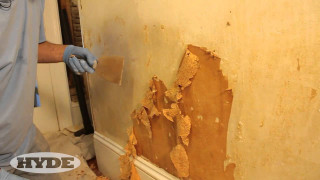 Man blue shirt white gloves - renaissance oil painting free wallpaper