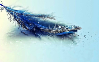 Blue feather sparkling stars background - white star free wallpaper for desktop
