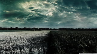 Cloudy sky field grass trees - a line of trees free wallpaper