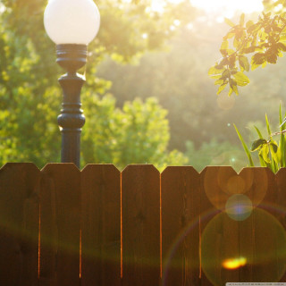 Light pole fence tree sunshine - free light wallpaper for tablet