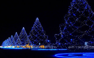 Christmas tree blue lights night - edi rama free wallpaper