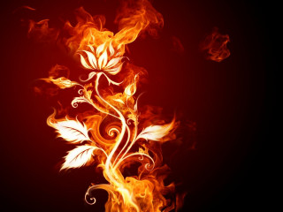 Fire flower swirls leaves black 3 - a black background photo free wallpaper