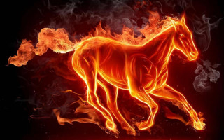 Horse running fire field smoke - a horse free wallpaper