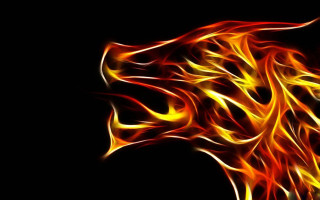 Lion head flames black background - flame free wallpaper