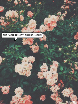 Pink flowers quote beautiful nature - cam sykes free wallpaper for mobile