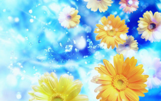 Yellow flowers floating bubbles water - bubble of water free wallpaper