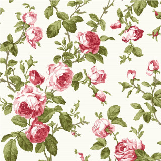 White background pink red roses - flemish free wallpaper for tablet