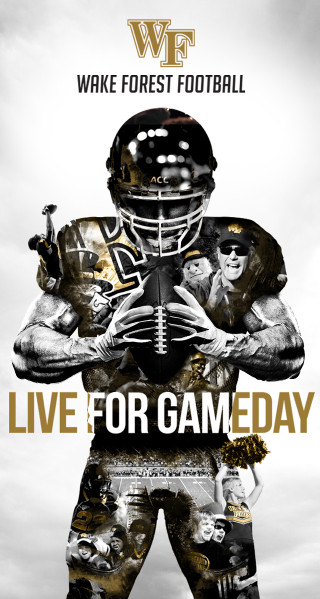 Football player holding football helmet 6 - action painting free wallpaper for mobile