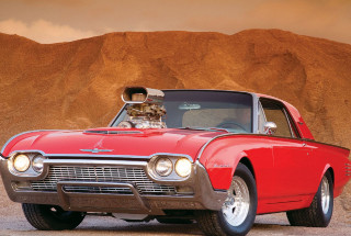 Red car cat hood desert - doug ohlson free wallpaper
