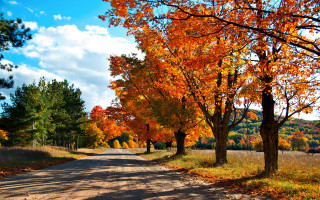 Autumn road trees leaves clouds - a sky free wallpaper