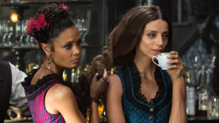 Women coffee bar restaurant friends 2 - a cup free wallpaper