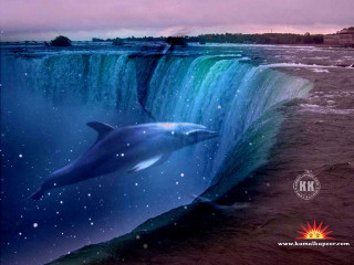 Dolphin swimming waterfall background manmade - chris labrooy free wallpaper for desktop