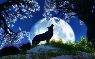 Wolf hill fullmoon snow trees - a full moon and trees free wallpaper