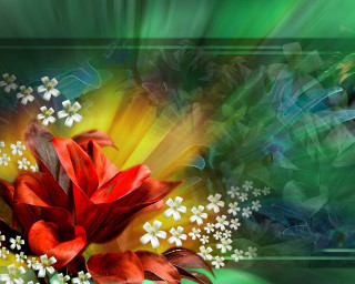 Red flower white flowers green - white flower free wallpaper