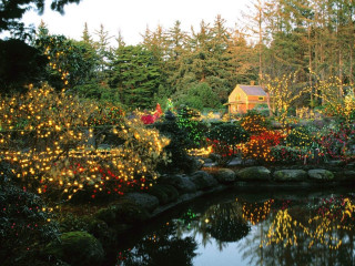 Pond lights trees bushes house 4 - bruce munro free wallpaper