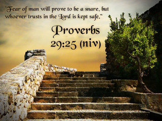 Stone staircase bible verse tree - esaias boursse free wallpaper