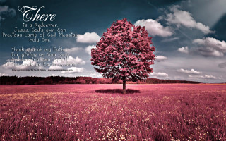 Tree field bible verse sky - somber free wallpaper