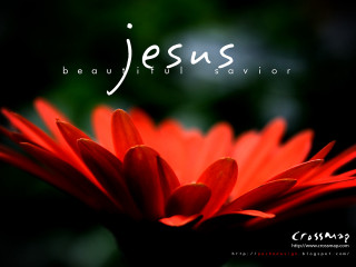 Red flower jesus green background - a white lettering free wallpaper