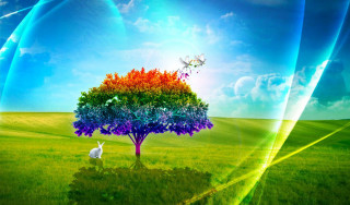 Rainbow tree white rabbit grass - the grass below free wallpaper