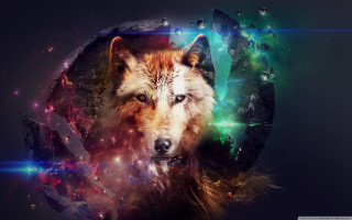 Wolf colorful background space theme - a wolf free wallpaper